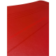 Conjunto de paneles de puerta interior rojo-Fiat clásico 500