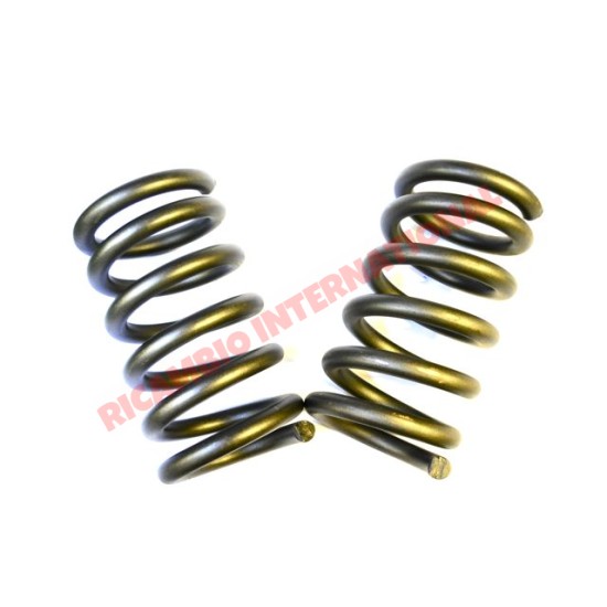 Rear Coil Spring (2)  - Fiat 850T/900T/E