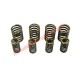 Complete Kit of Valve Springs - Classic Fiat 500, 126
