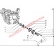 Kit Bomba de Agua - Fiat 126
