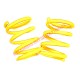Rear Lowered Coil Spring Kit (160mm) - Classic Fiat 500
