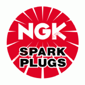 Juego de bujías NGK (x4) - Fiat Punto, Classic Panda, Doblo, Multipla, Stilo, Barchetta, Seicento