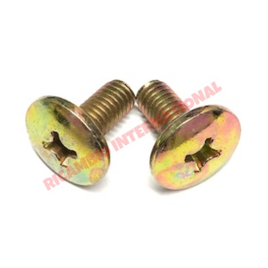 Rear Window Guide Bolts (2) - Classic Fiat 500