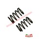 Pair of Rear Coil Spring (STD) - Classic Fiat 500
