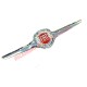 Insignia Fiat Cromada Pulida y Accesorios - Classic Fiat 500