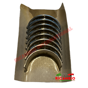 Conjunto de rodamientos principales (STD) - Fiat 124,131,132,Strada/Ritmo,Argenta Lancia Beta,Montecarlo,Delta,Trevi