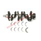 Kit albero motore e cuscinetti - Fiat Panda classica, Uno