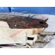 Second Hand Rear Panel - Fiat 850