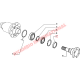 N/S Rear Diff Oil Seal - Lancia Delta Integrale