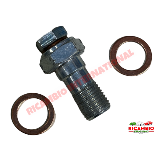 Banjo Bolt with Bleed Screw (Fine Thread M10 x1mm)