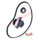 Kit de correa de distribución, bomba de agua y juntas RTV - Fiat Classic Panda, Uno, Punto, Cinquecento, Seicento, Y10