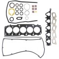 Gaskets & Oil Seals