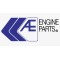 AE FEDERAL MOGUL