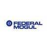 GLYCOL FEDERAL MOGUL